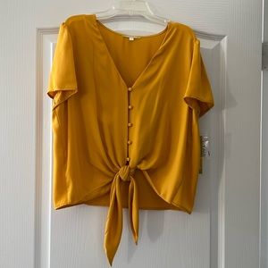 NWT Gianni Bini top Size large